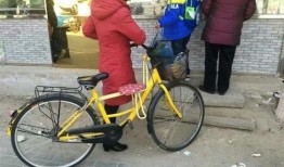 长春自行车爆料视频大全,骑行风采与安全警示集锦