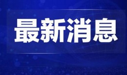 石家庄新闻热点爆料最新,聚焦城市动态与民生焦点